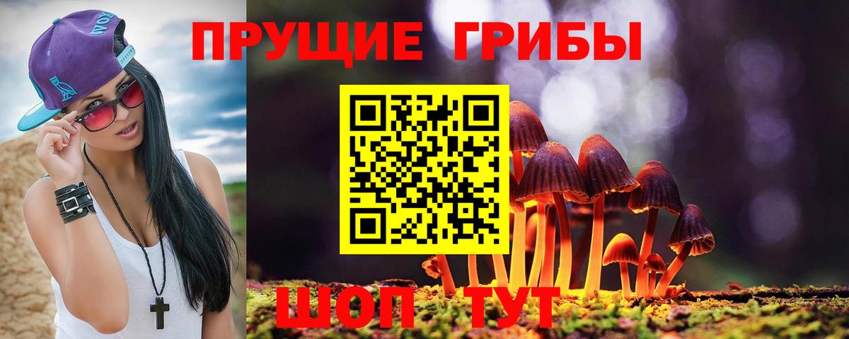 Галлюциногенные грибы мицелий  Вход с VPN  Воткинск  Псилоцибиновые грибы мухоморы 